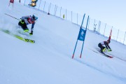 FIS Baltijas kauss 2020 paralēlais slaloms, Foto: E.Lukšo