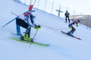 FIS Baltijas kauss 2020 paralēlais slaloms, Foto: E.Lukšo