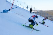 FIS Baltijas kauss 2020 paralēlais slaloms, Foto: E.Lukšo