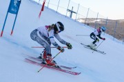 FIS Baltijas kauss 2020 paralēlais slaloms, Foto: E.Lukšo