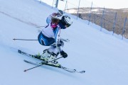 FIS Baltijas kauss 2020 paralēlais slaloms, Foto: E.Lukšo