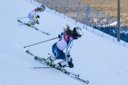 FIS Baltijas kauss 2020 paralēlais slaloms, Foto: E.Lukšo