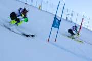 FIS Baltijas kauss 2020 paralēlais slaloms, Foto: E.Lukšo