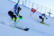 FIS Baltijas kauss 2020 paralēlais slaloms, Foto: E.Lukšo