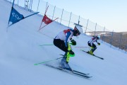 FIS Baltijas kauss 2020 paralēlais slaloms, Foto: E.Lukšo