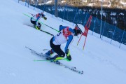 FIS Baltijas kauss 2020 paralēlais slaloms, Foto: E.Lukšo