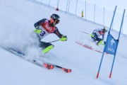 FIS Baltijas kauss 2020 paralēlais slaloms, Foto: E.Lukšo