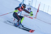 FIS Baltijas kauss 2020 paralēlais slaloms, Foto: E.Lukšo