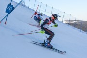 FIS Baltijas kauss 2020 paralēlais slaloms, Foto: E.Lukšo