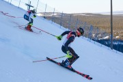 FIS Baltijas kauss 2020 paralēlais slaloms, Foto: E.Lukšo