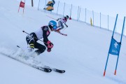 FIS Baltijas kauss 2020 paralēlais slaloms, Foto: E.Lukšo