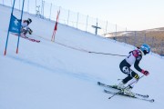 FIS Baltijas kauss 2020 paralēlais slaloms, Foto: E.Lukšo