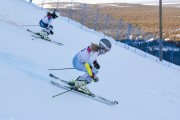 FIS Baltijas kauss 2020 paralēlais slaloms, Foto: E.Lukšo