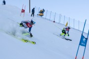 FIS Baltijas kauss 2020 paralēlais slaloms, Foto: E.Lukšo