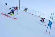 FIS Baltijas kauss 2020 paralēlais slaloms, Foto: E.Lukšo