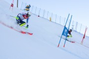 FIS Baltijas kauss 2020 paralēlais slaloms, Foto: E.Lukšo