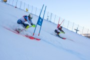 FIS Baltijas kauss 2020 paralēlais slaloms, Foto: E.Lukšo