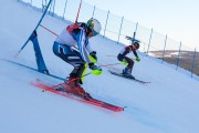 FIS Baltijas kauss 2020 paralēlais slaloms, Foto: E.Lukšo