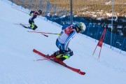 FIS Baltijas kauss 2020 paralēlais slaloms, Foto: E.Lukšo