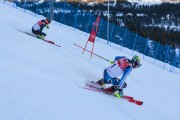 FIS Baltijas kauss 2020 paralēlais slaloms, Foto: E.Lukšo