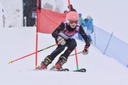 FIS Baltic Cup 2018 3. posms, jauniešu un meistaru SG, Foto: Emīls Lukšo