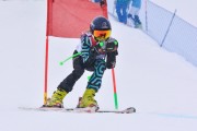 FIS Baltic Cup 2018 3. posms, jauniešu un meistaru SG, Foto: Emīls Lukšo