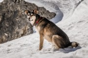 FIS Baltijas kauss Pozza di Fassa, apkārtne, Foto: E.Lukšo