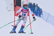 FIS Baltic Cup 2018 3. posms, jauniešu un meistaru SG, Foto: Emīls Lukšo