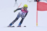 FIS Baltic Cup 2018 3. posms, jauniešu un meistaru SG, Foto: Emīls Lukšo