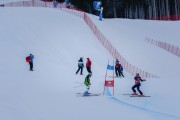 FIS Baltijas kauss Pozza di Fassa, FIS Latvijas čempionāts GS, Foto: E.Lukšo