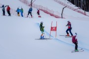 FIS Baltijas kauss Pozza di Fassa, FIS Latvijas čempionāts GS, Foto: E.Lukšo