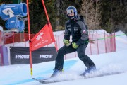 FIS Baltijas kauss Pozza di Fassa, FIS Latvijas čempionāts GS, Foto: E.Lukšo