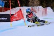 FIS Baltijas kauss Pozza di Fassa, FIS Latvijas čempionāts GS, Foto: E.Lukšo