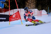 FIS Baltijas kauss Pozza di Fassa, FIS Latvijas čempionāts GS, Foto: E.Lukšo