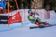 FIS Baltijas kauss Pozza di Fassa, FIS Latvijas čempionāts GS, Foto: E.Lukšo