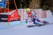 FIS Baltijas kauss Pozza di Fassa, FIS Latvijas čempionāts GS, Foto: E.Lukšo