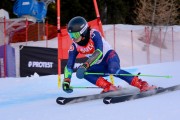 FIS Baltijas kauss Pozza di Fassa, FIS Latvijas čempionāts GS, Foto: E.Lukšo