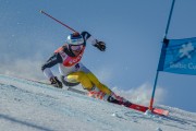 FIS Baltijas kauss Pozza di Fassa, FIS Latvijas čempionāts GS, Foto: E.Lukšo