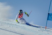 FIS Baltijas kauss Pozza di Fassa, FIS Latvijas čempionāts GS, Foto: E.Lukšo