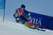 FIS Baltijas kauss Pozza di Fassa, FIS Latvijas čempionāts GS, Foto: E.Lukšo