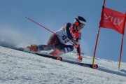 FIS Baltijas kauss Pozza di Fassa, FIS Latvijas čempionāts GS, Foto: E.Lukšo