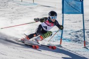 FIS Baltijas kauss Pozza di Fassa, FIS Latvijas čempionāts GS, Foto: E.Lukšo