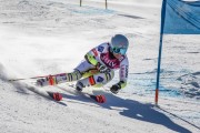 FIS Baltijas kauss Pozza di Fassa, FIS Latvijas čempionāts GS, Foto: E.Lukšo