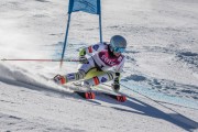 FIS Baltijas kauss Pozza di Fassa, FIS Latvijas čempionāts GS, Foto: E.Lukšo