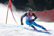 FIS Baltijas kauss Pozza di Fassa, FIS Latvijas čempionāts GS, Foto: E.Lukšo