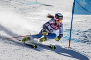 FIS Baltijas kauss Pozza di Fassa, FIS Latvijas čempionāts GS, Foto: E.Lukšo