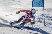 FIS Baltijas kauss Pozza di Fassa, FIS Latvijas čempionāts GS, Foto: E.Lukšo