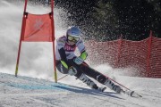 FIS Baltijas kauss Pozza di Fassa, FIS Latvijas čempionāts GS, Foto: E.Lukšo