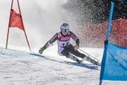 FIS Baltijas kauss Pozza di Fassa, FIS Latvijas čempionāts GS, Foto: E.Lukšo