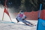 FIS Baltijas kauss Pozza di Fassa, FIS Latvijas čempionāts GS, Foto: E.Lukšo